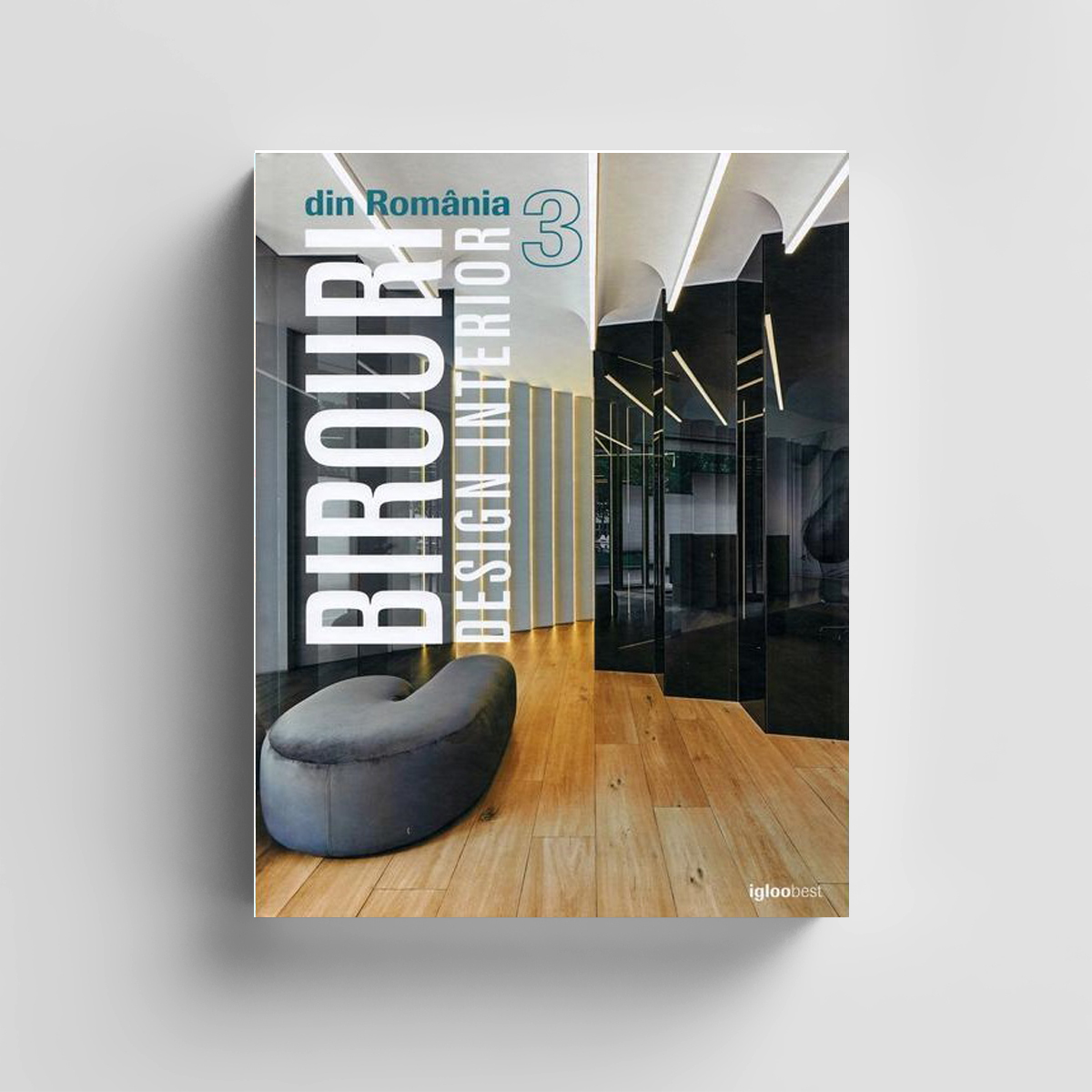 NBC/ARHITECT – Birouri din România 3 – Rod Bun HQ